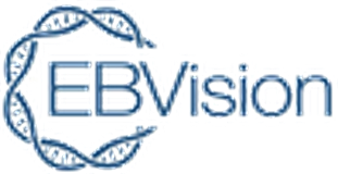 EBVision